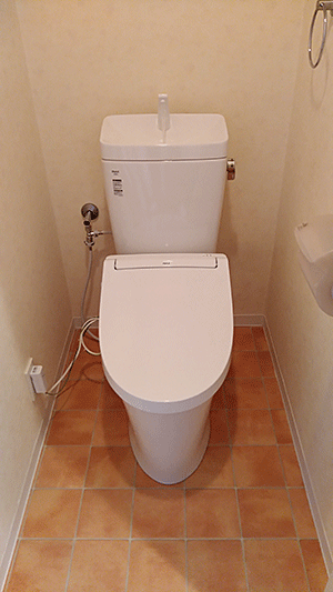 アメージュZフチレス便器+CW-RAA2