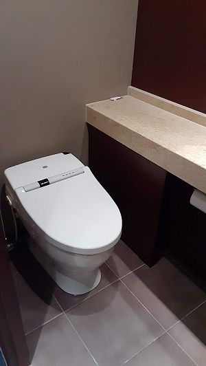 既存便器