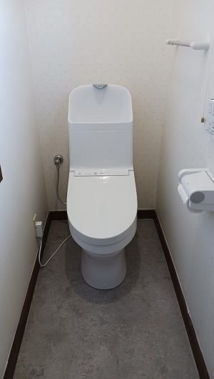 CES9153