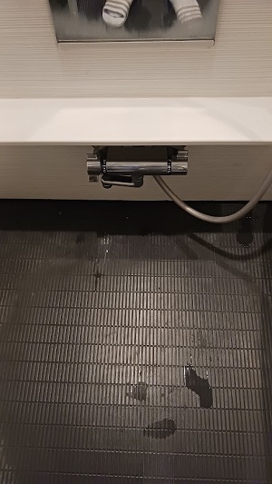 既存蛇口