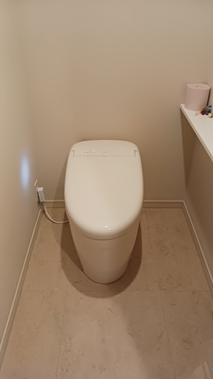 ウォシュレット一体形取替機能部 TCF962A